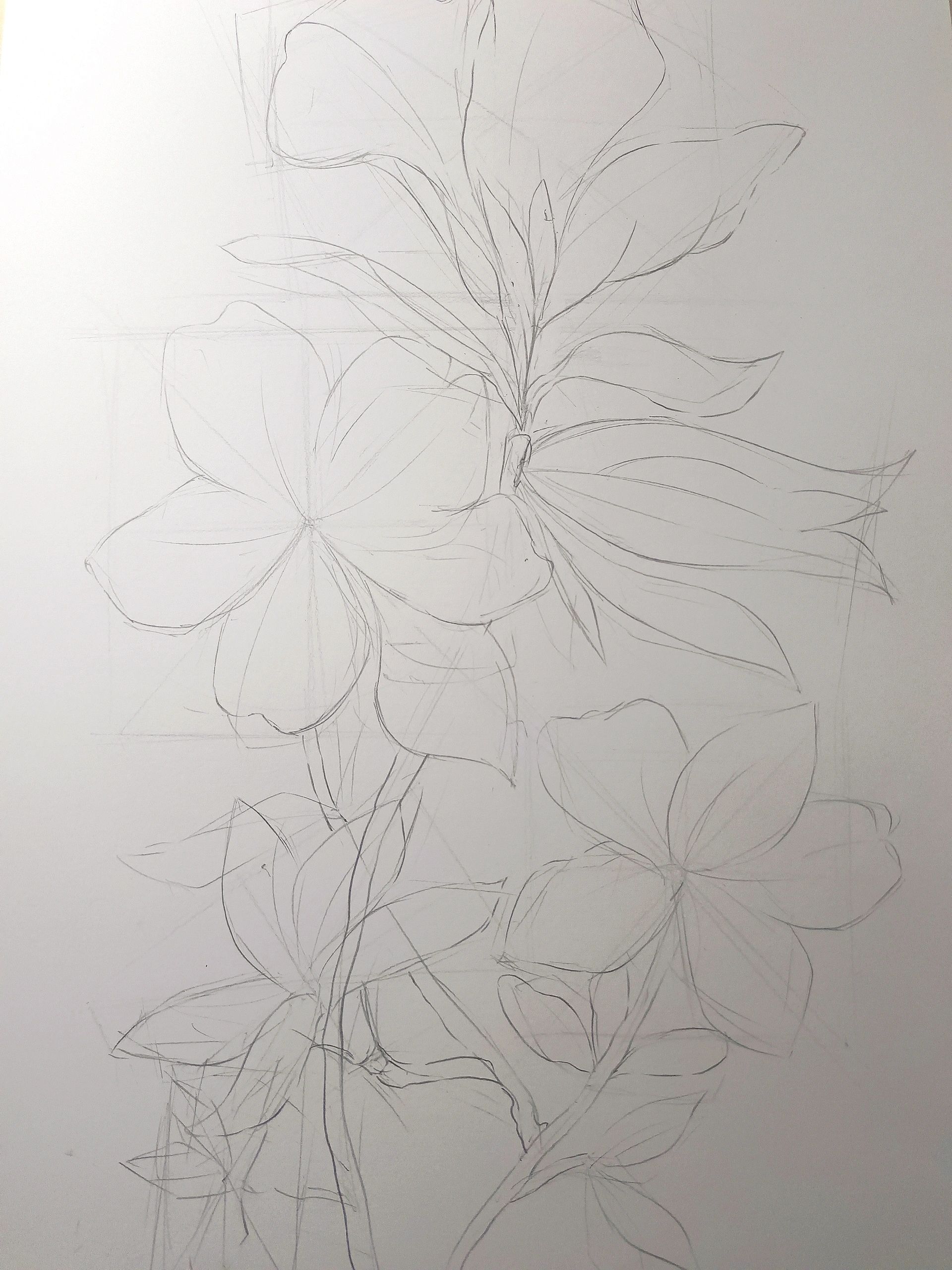 绘画教程18——杜鹃花