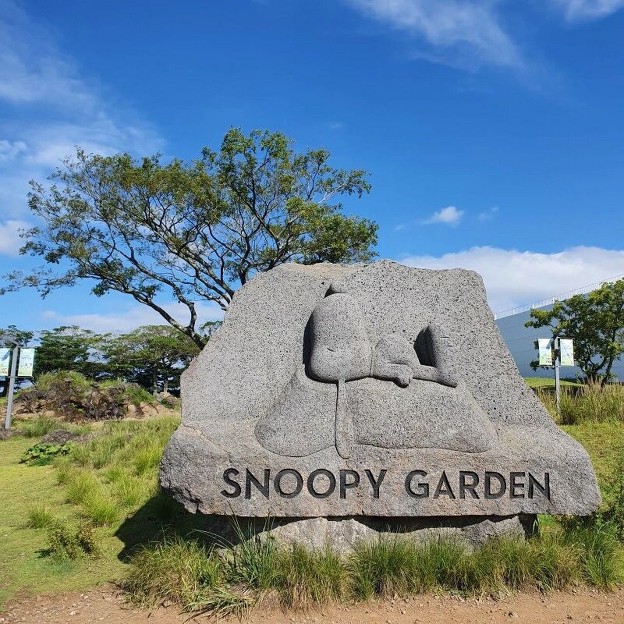 济州岛民推荐景点 |snoopy  garden 2185617597 位于济州岛