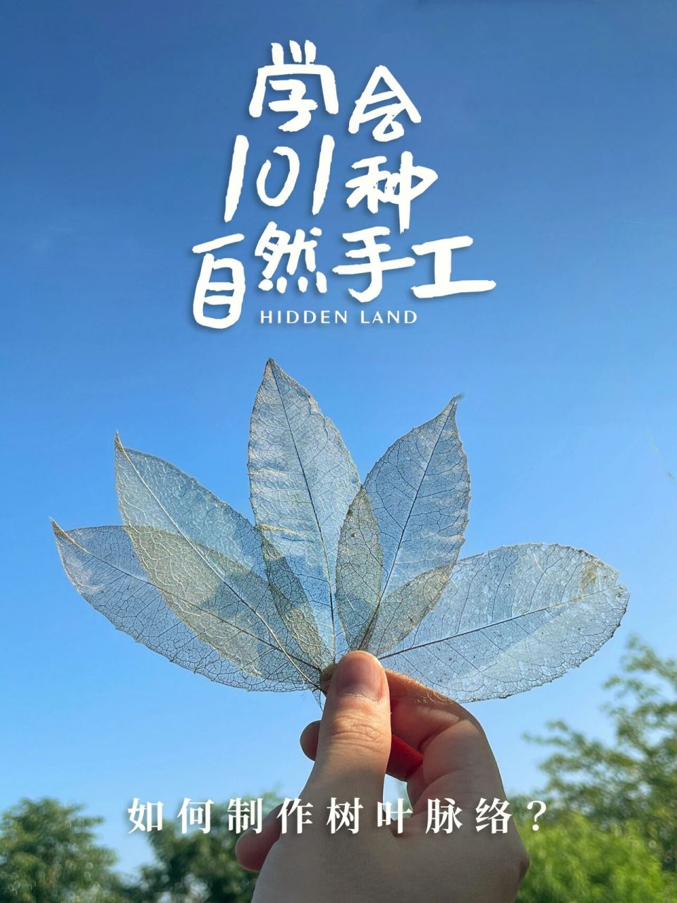 学会101种自然手工|如何制作树叶脉络书签?