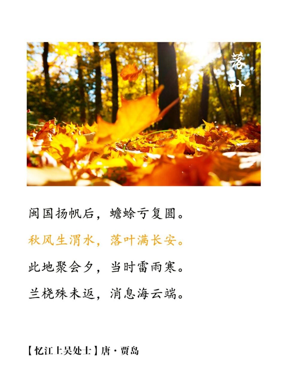 诗词摘抄 | 暮秋 一起踩落叶呀94 在北国 郁达夫笔下的秋天 浪漫又