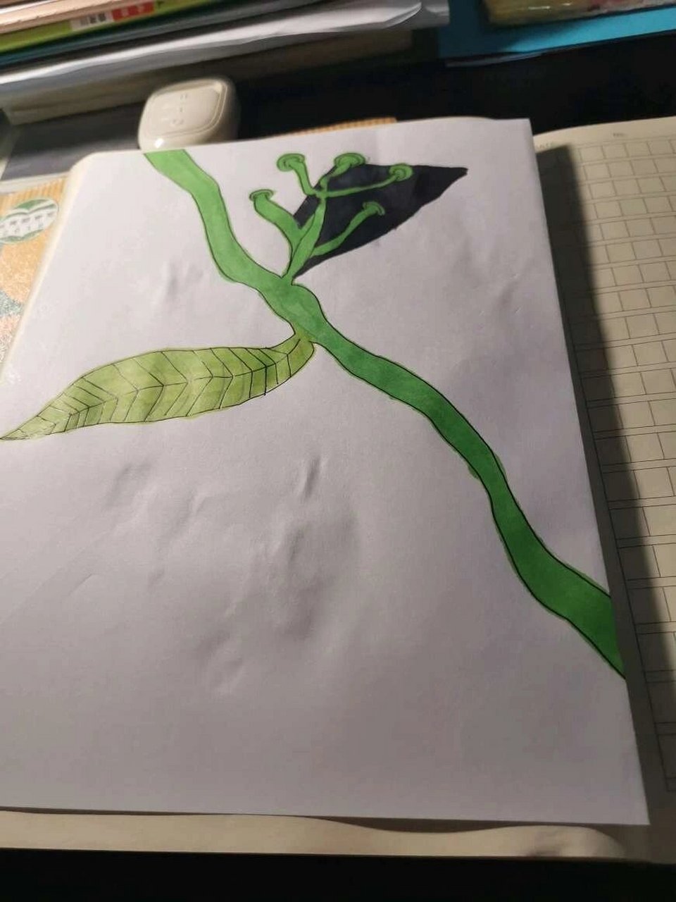 画一画爬山虎的脚