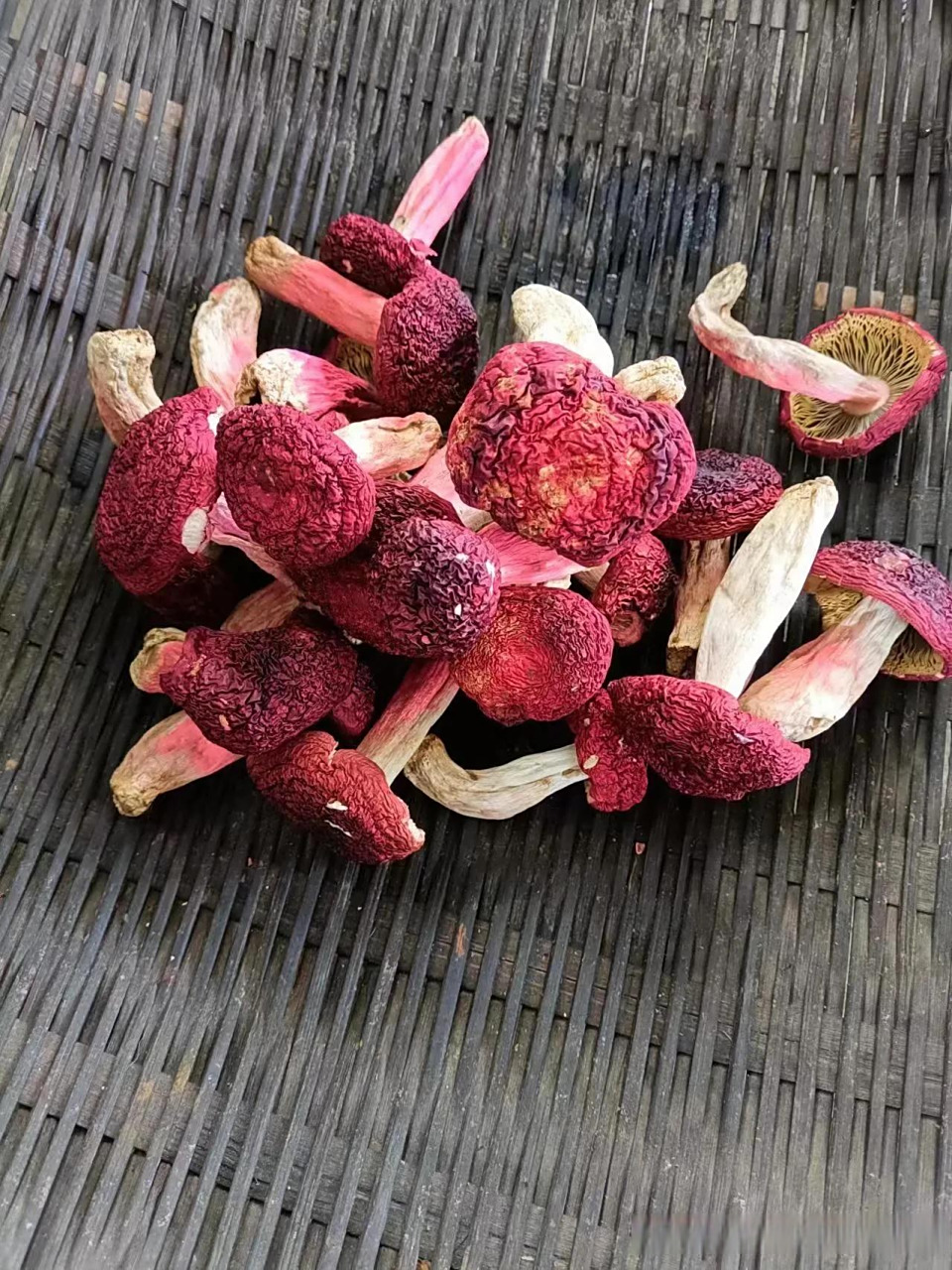 云南大红菌,想吃的有没有?炖鸡非常好吃哦中国云南野生菌