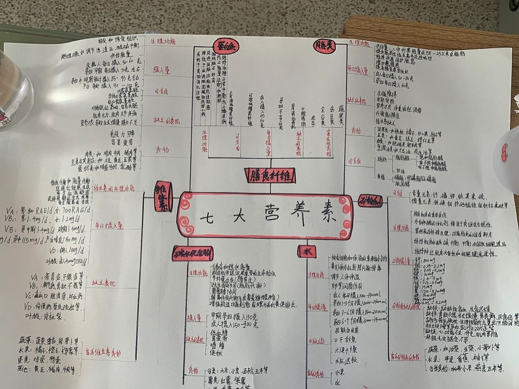 七大营养素思维导图 手写版