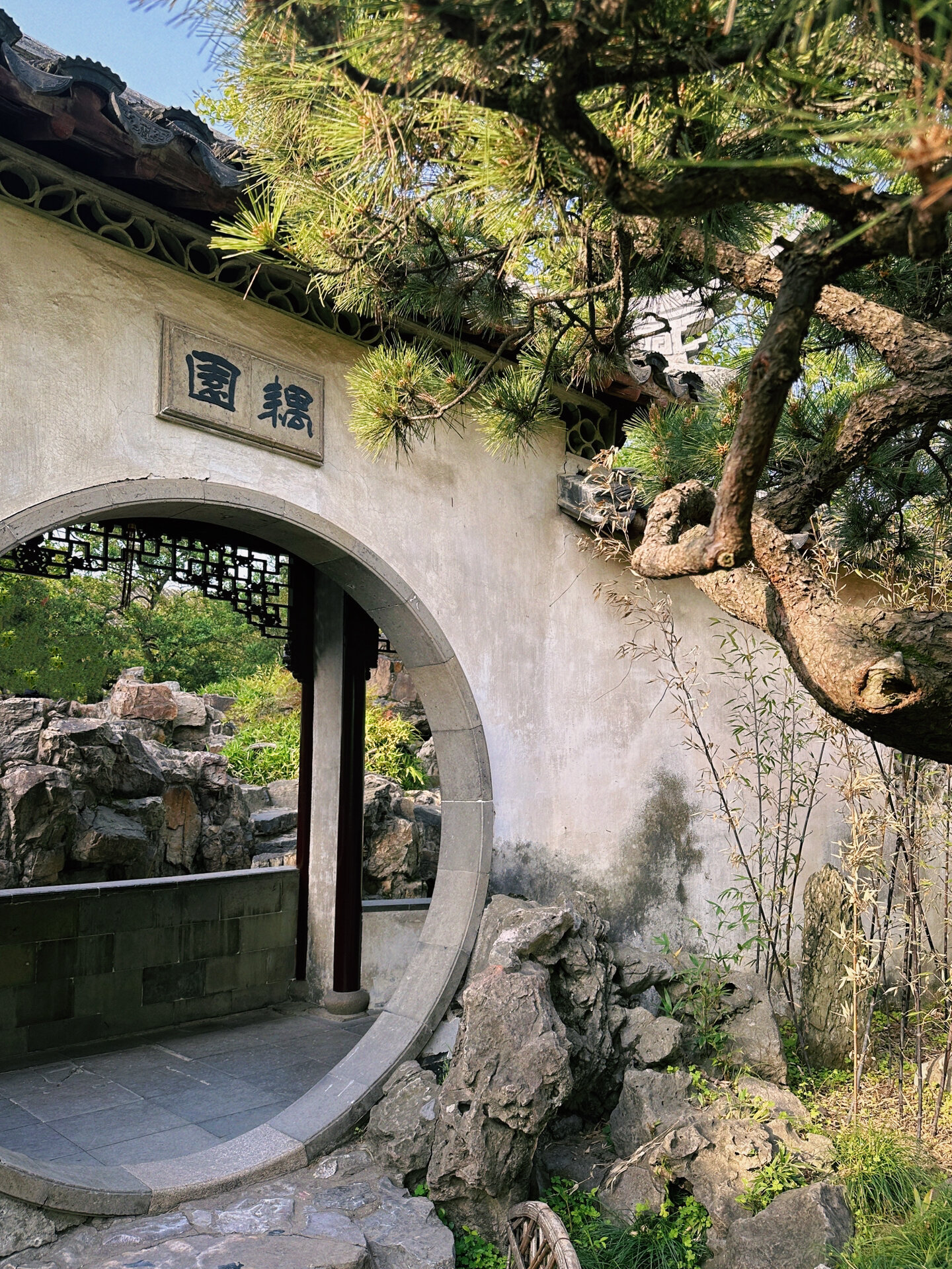 苏州园林年卡打卡(3)耦园