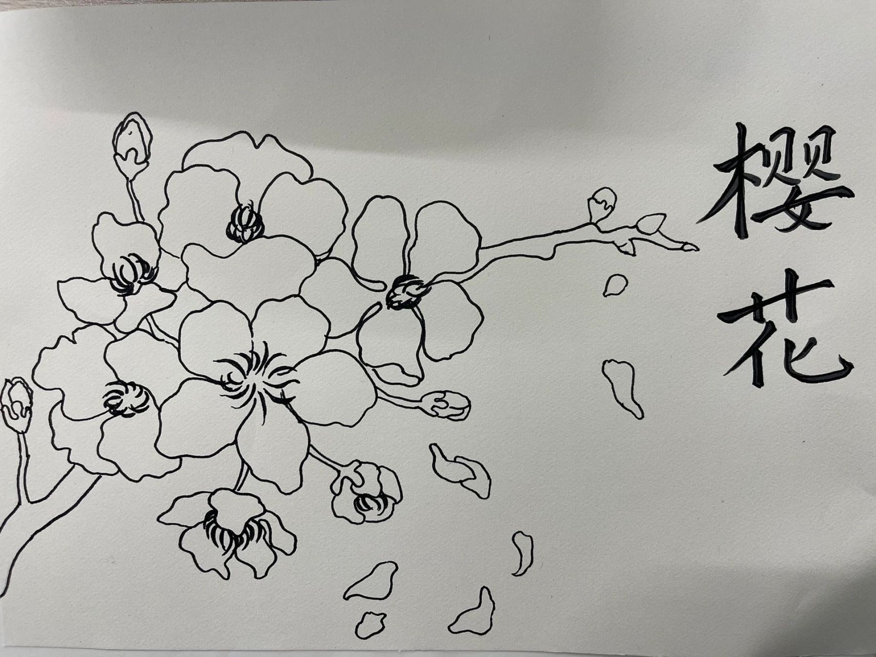 樱花怎么画简笔画古风图片