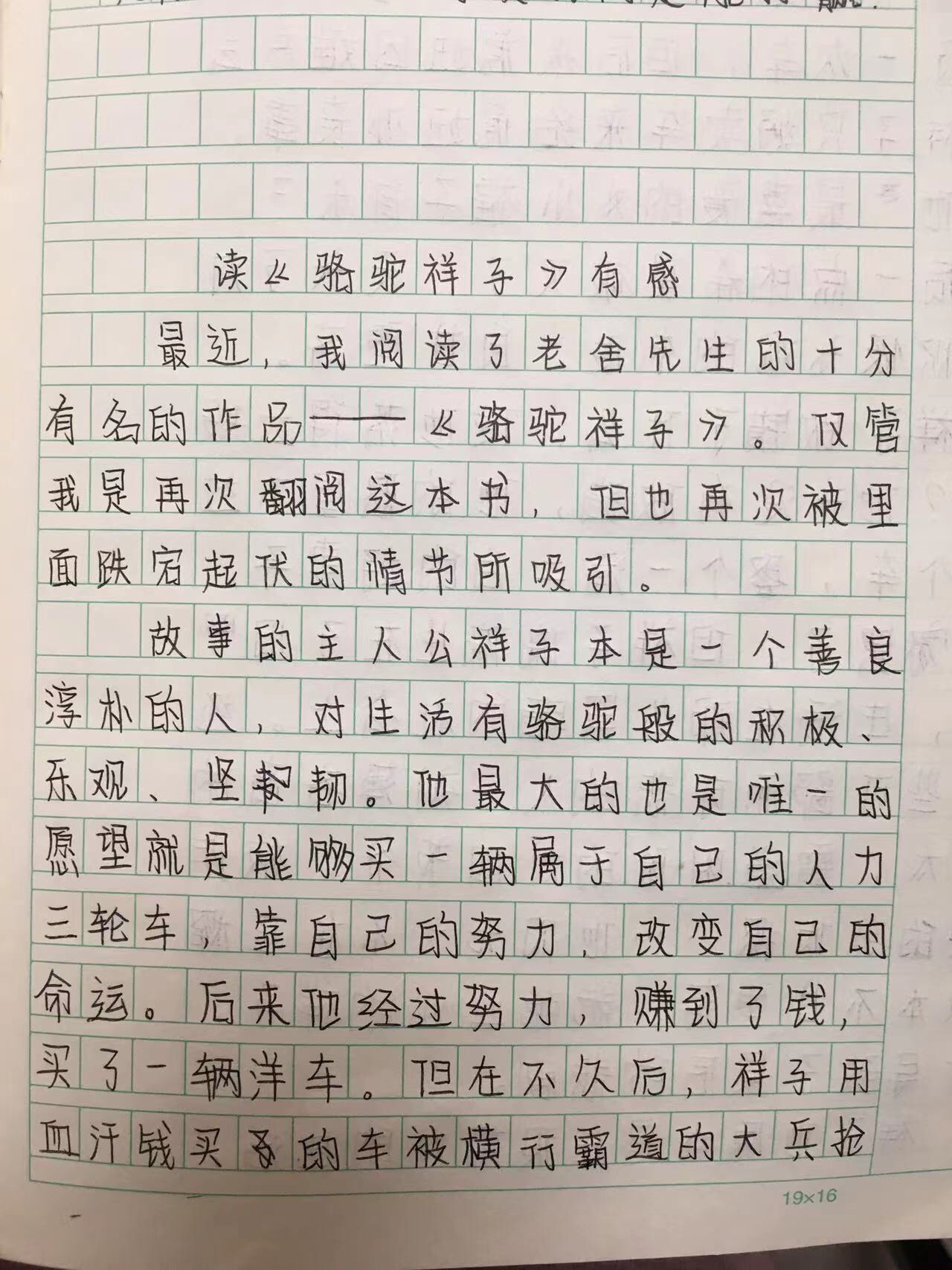 《骆驼祥子》读后感(大概500多字
