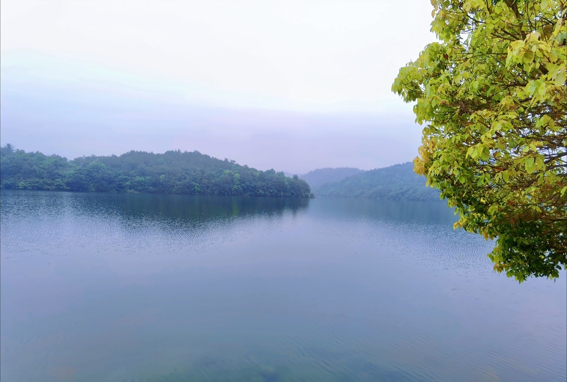绝美古诗文|唯美古风|山水烟雨意境文案 78策策桐叶风,蒙蒙菊花雨.