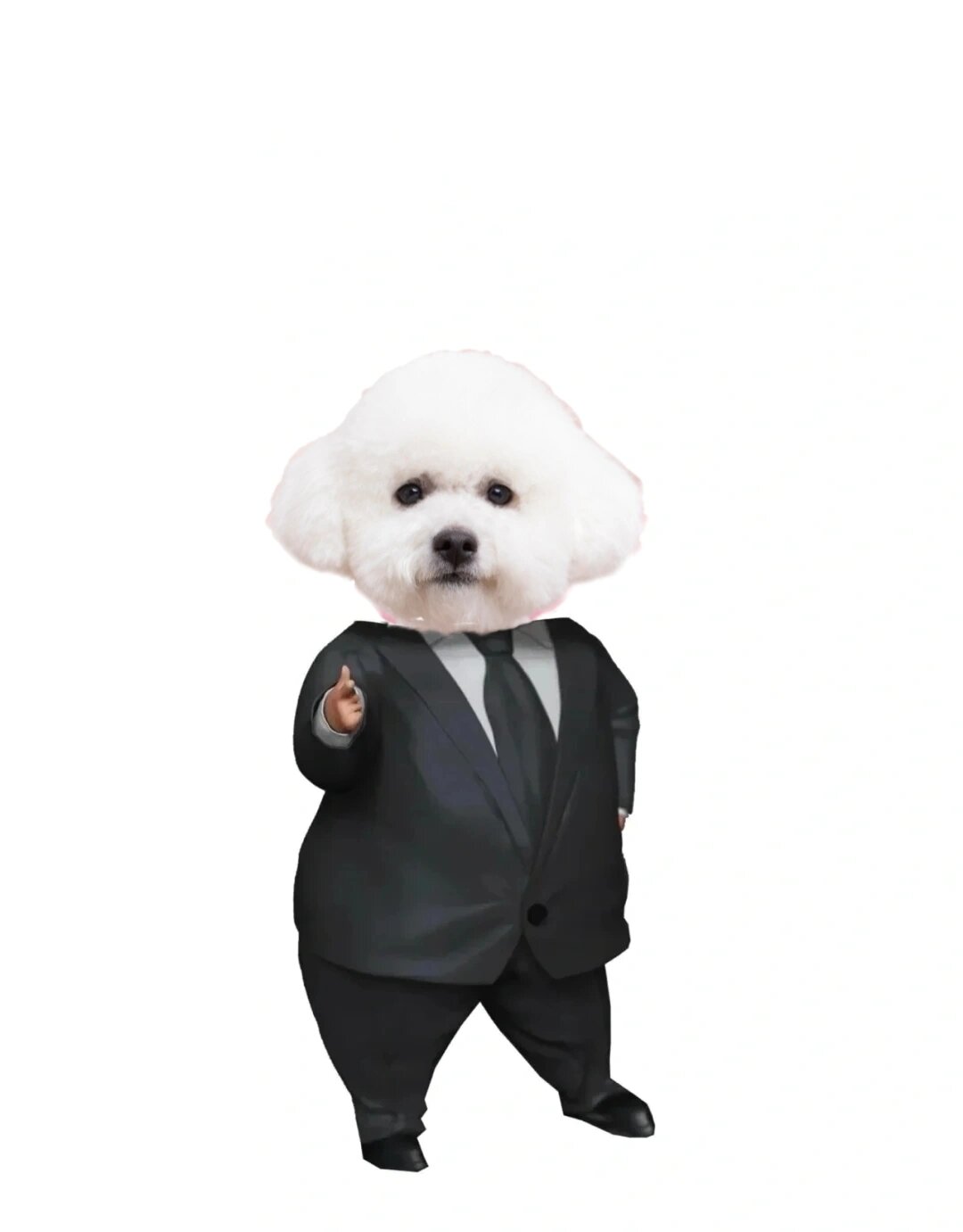 穿西装的小狗狗