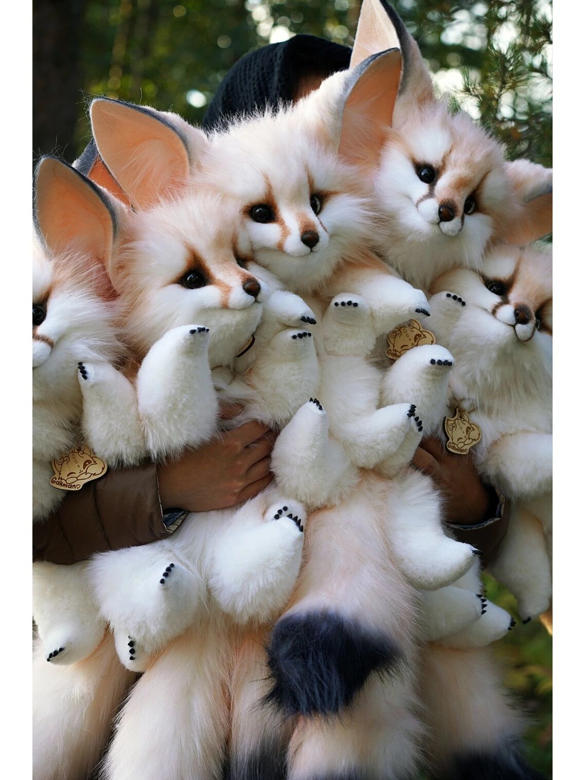 2022年的小狐狸们完美交单02 一大捧雪狐宝宝超壮观 喜欢的私信我吧