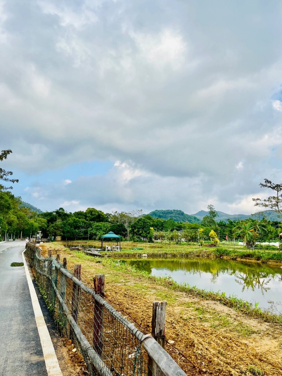 中山香樟公园的田野与咖啡屋    1月的桂南村香樟公园 是一个有篱笆