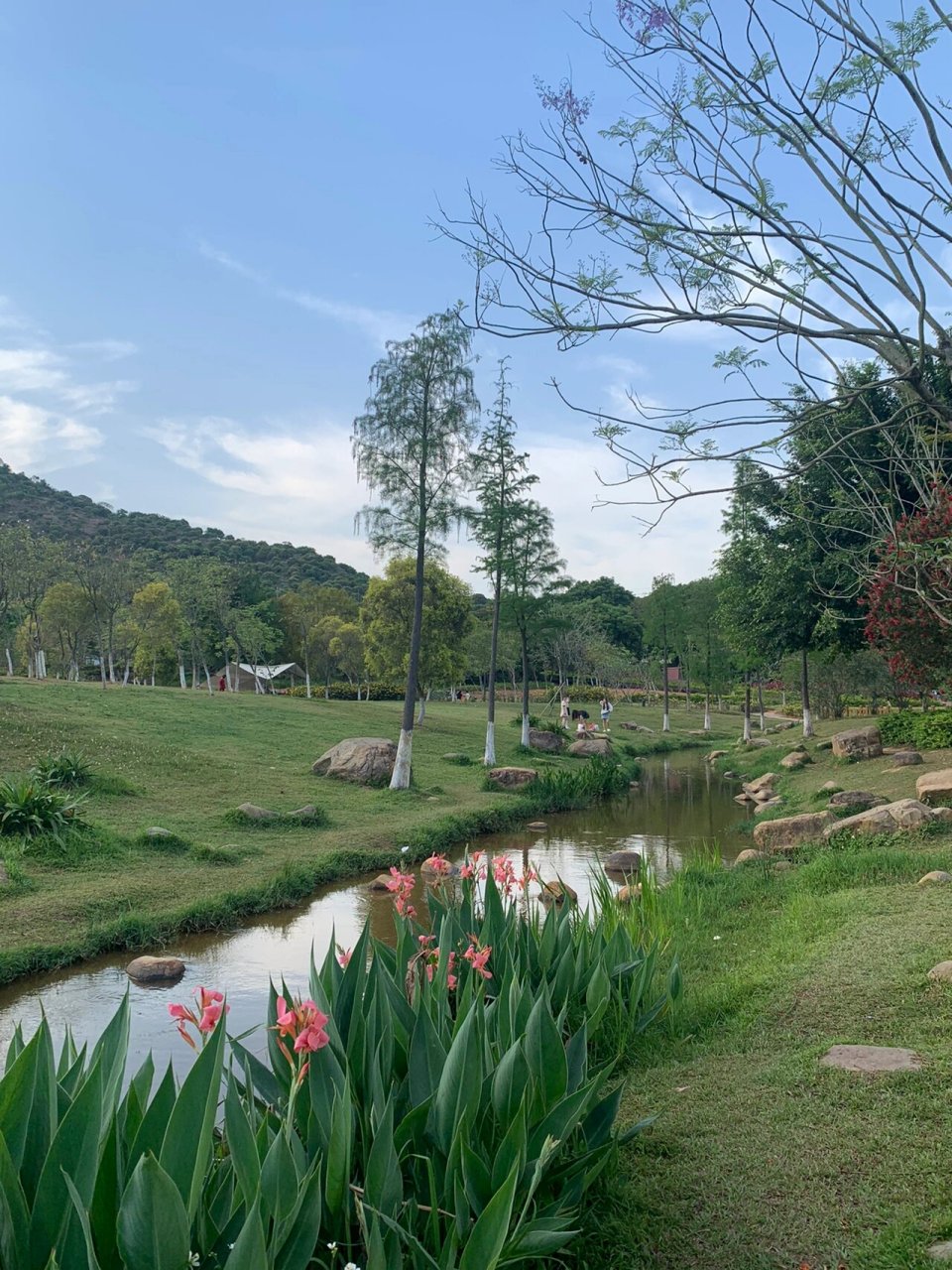 广州0⃣️元拍照|新塘万田生态公园|周末好去 🌅广州最近天气也