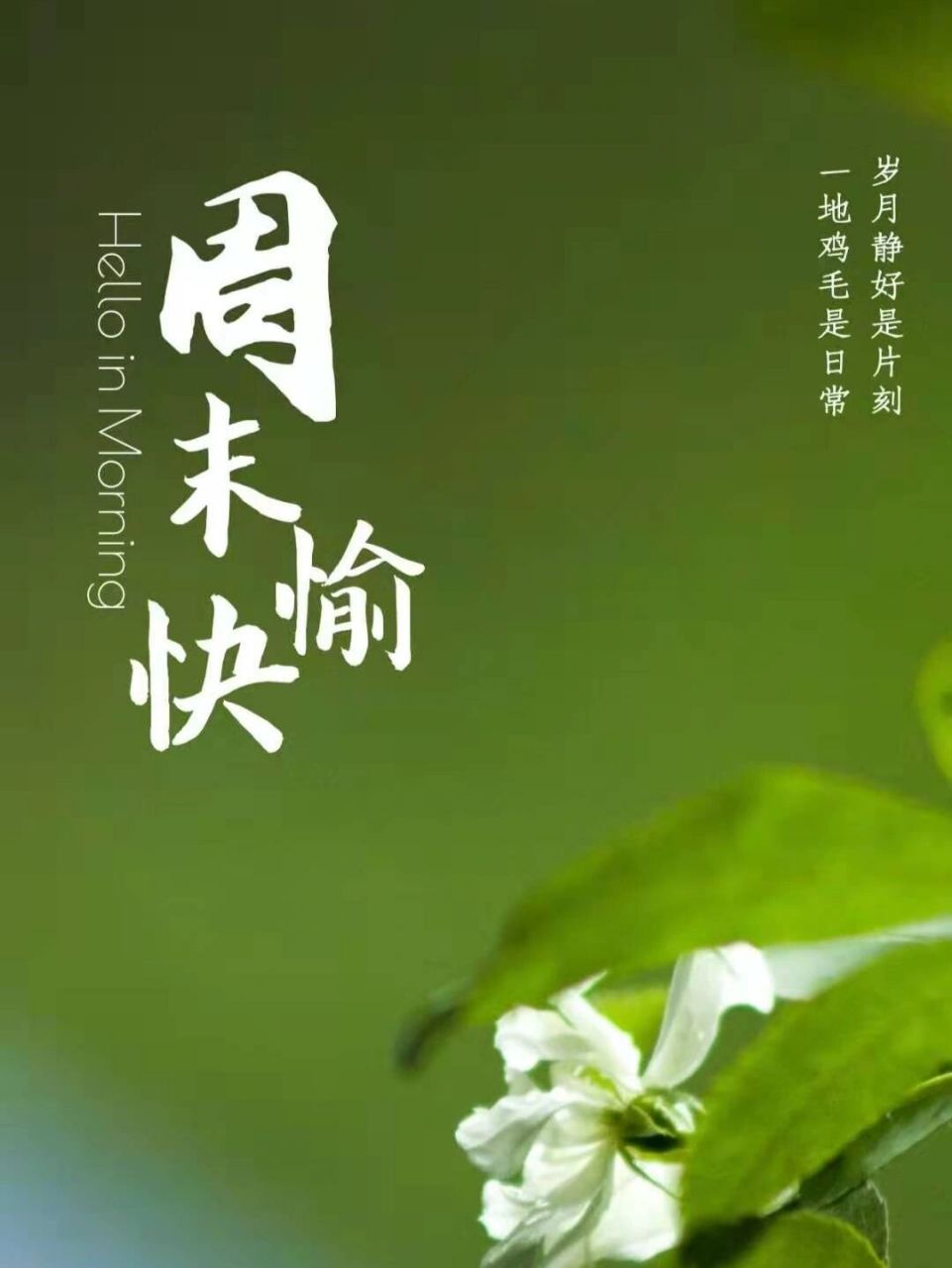 周末愉快|周六早安:热爱生活,更爱自己! 781560686069.