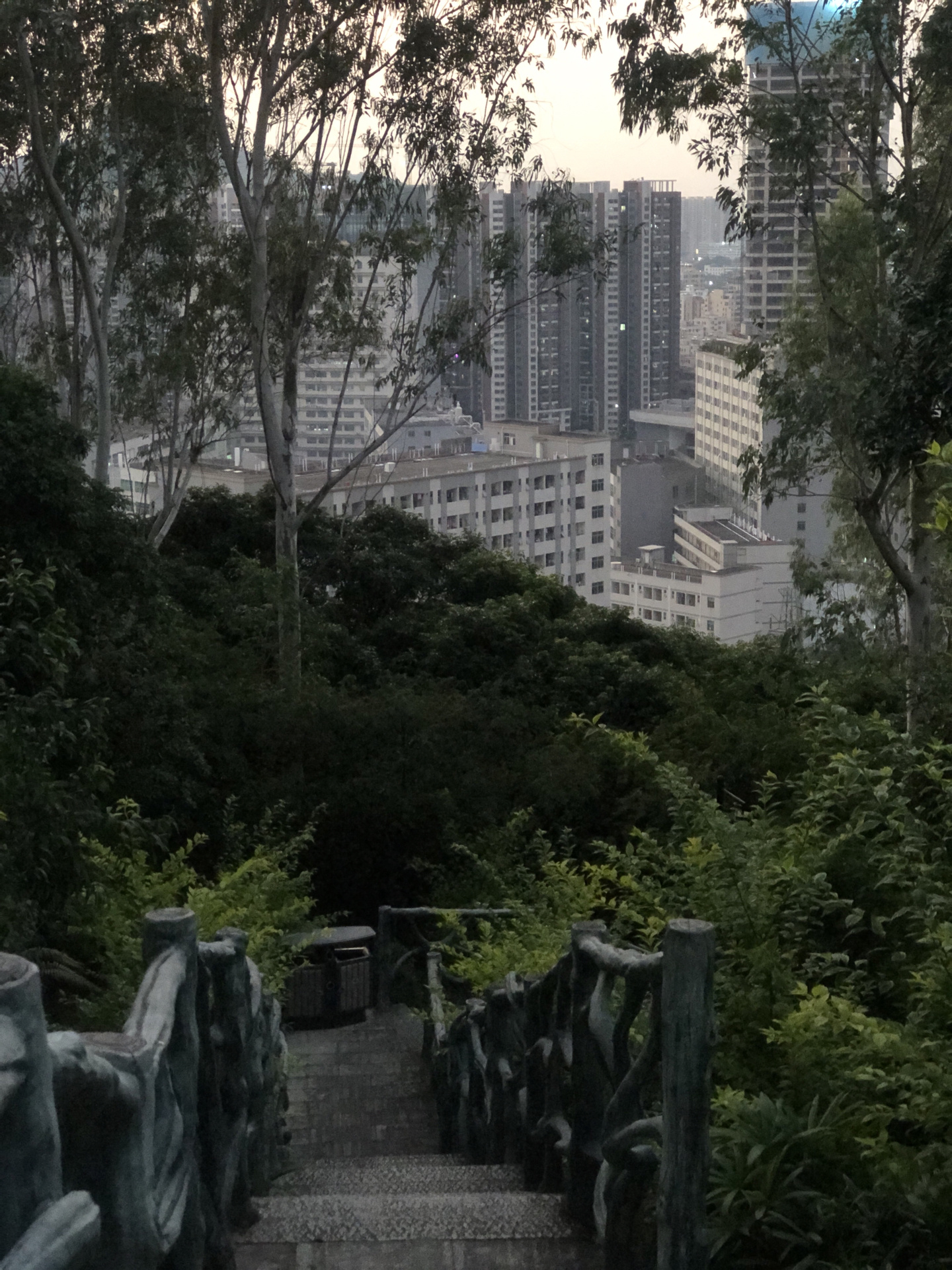 宝安西乡企龙山公园 休闲游