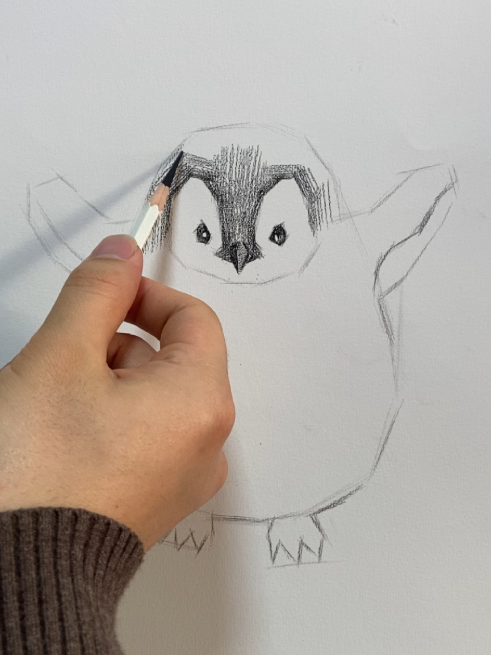 素描动物教学(企鹅篇)附详细过程图 毛绒绒的小企鹅教程来了!