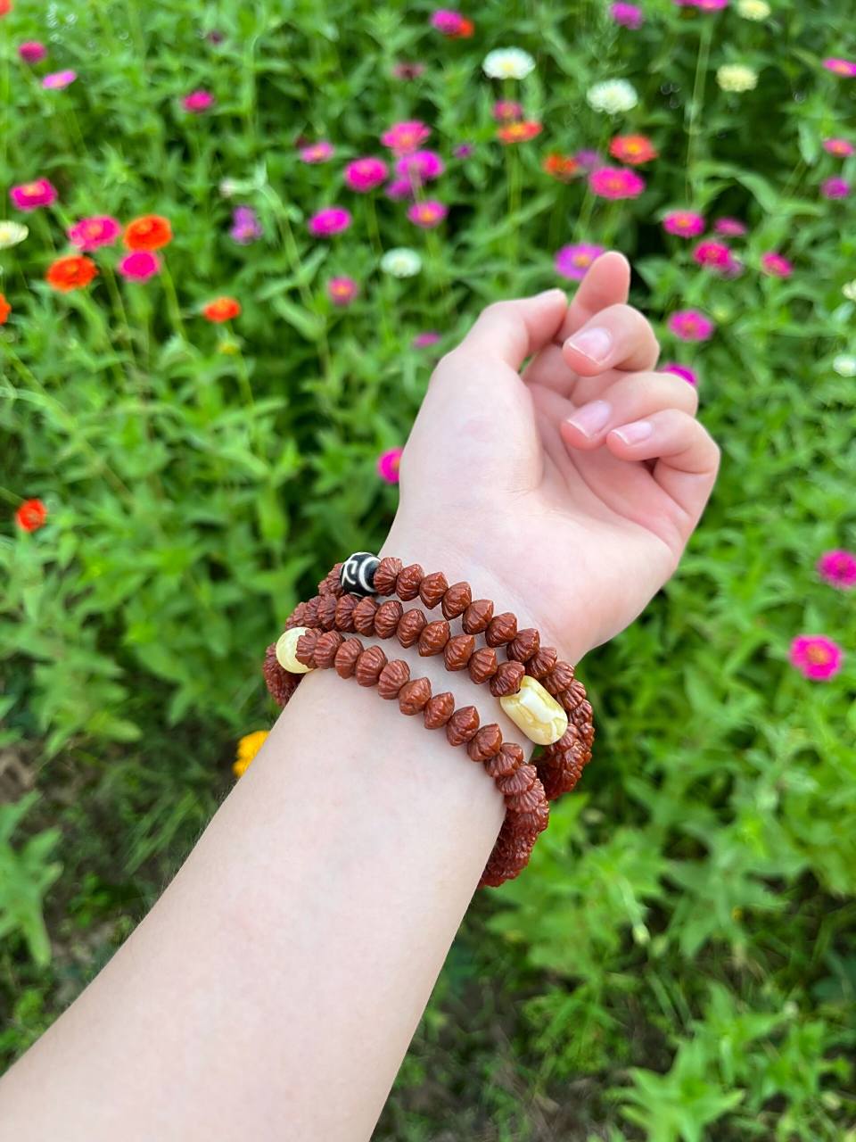 九华山三宝之金钱籽 九华山三宝之一金钱树(青钱柳),一串串的金钱子在