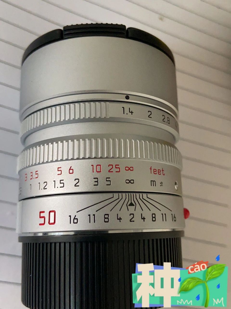 所以想换50,可能会比较适合我 最近种草了徕卡的50 1.