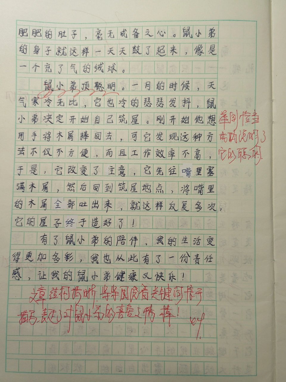观察动物作文400字四年级小仓鼠(观察动物作文400字四年级小仓鼠怎么写)