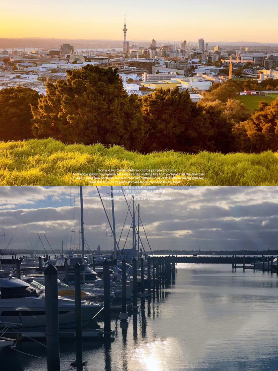 新西兰南,北岛必玩景点推荐 游玩攻略 南岛 73冰川地区:弗拉兹