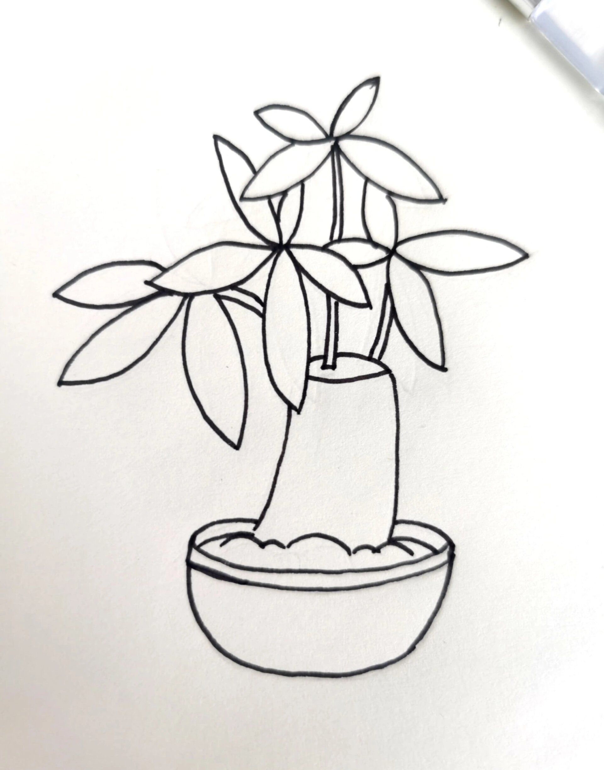 发财树简笔画(有线稿)