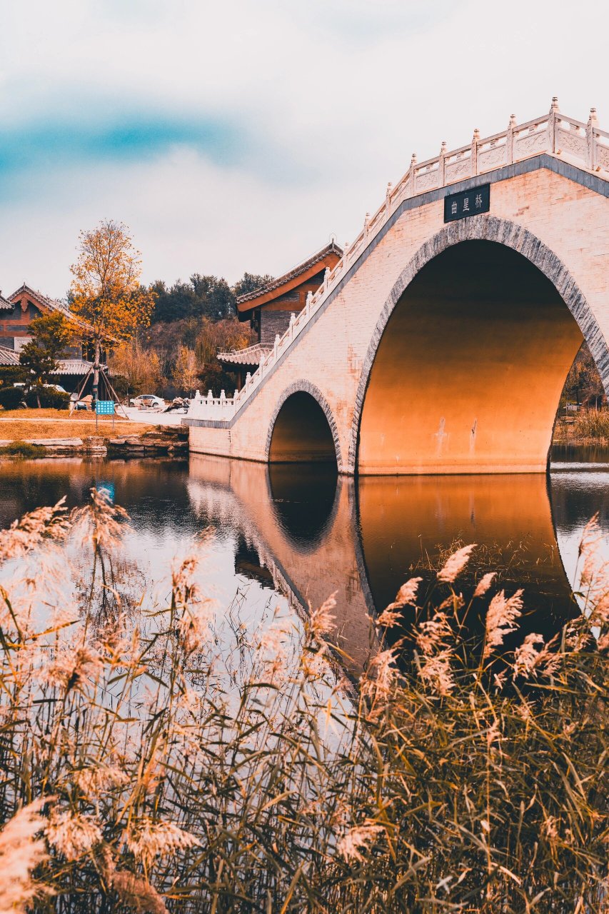 贾鲁河明伦岛游记:一场穿越千年的秋 在郑州的明伦岛,仿佛穿越了千年