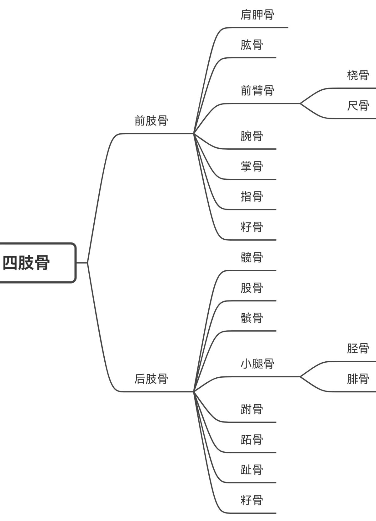 课程名称 动物组织与解刨学 哺乳动物全身骨骼名称思维导图