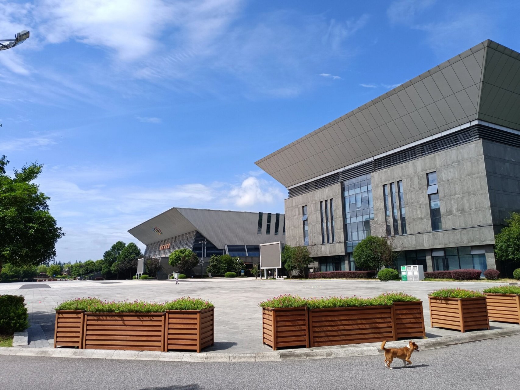 姚庄,一个浙江嘉善下的小镇,竟然有自己的体育馆和城市规划馆,就连