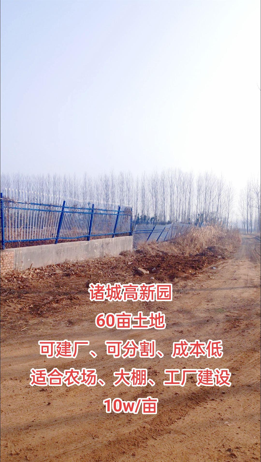 60亩地种什么好(种60多亩地能赚多少钱)
