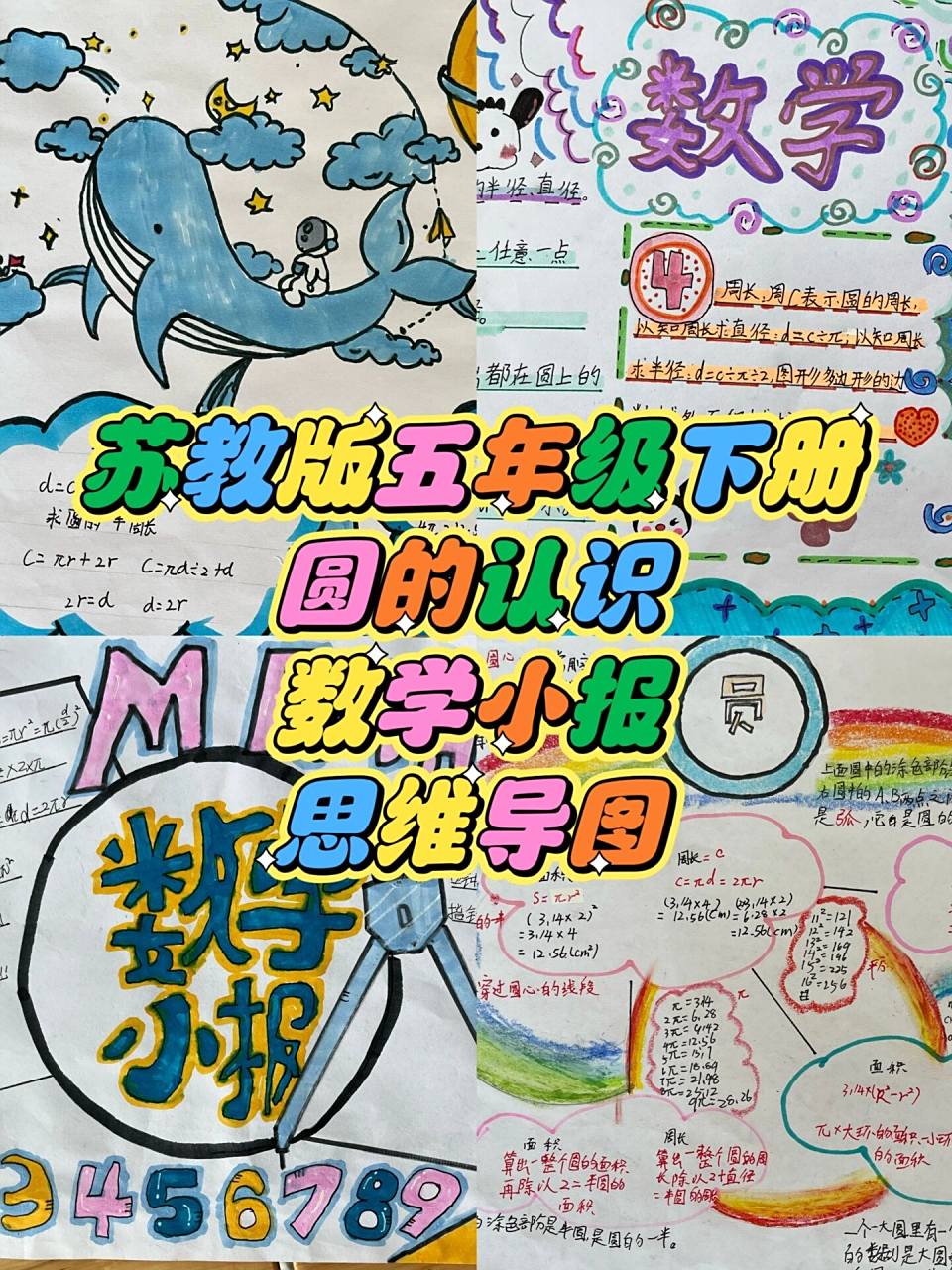 苏教五下圆的认识数学小报思维导图      分享一些小朋友们的周末创意