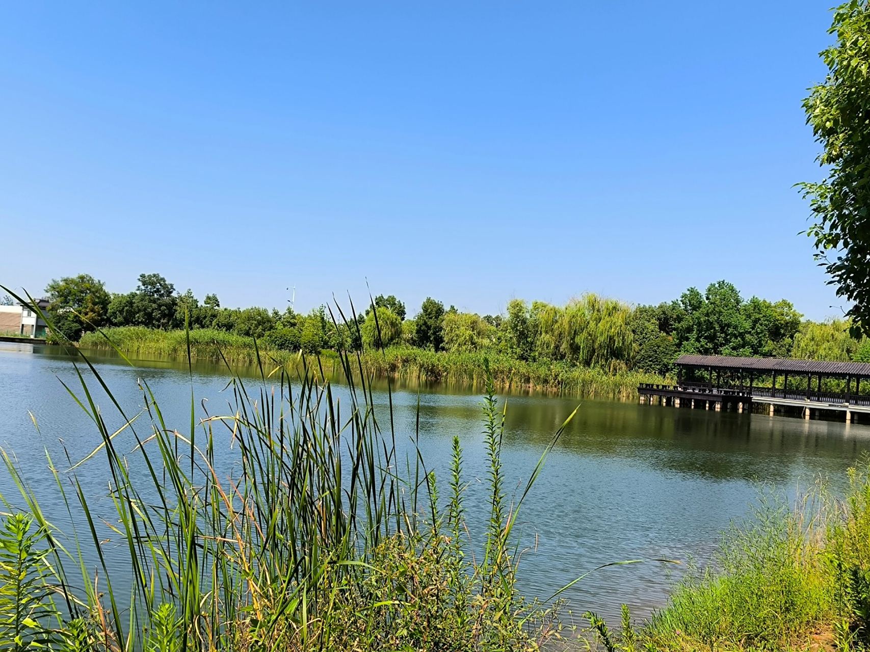 宜兴云湖风景区 云湖真的值得打卡 云湖风景区是开放式公园,没有任何