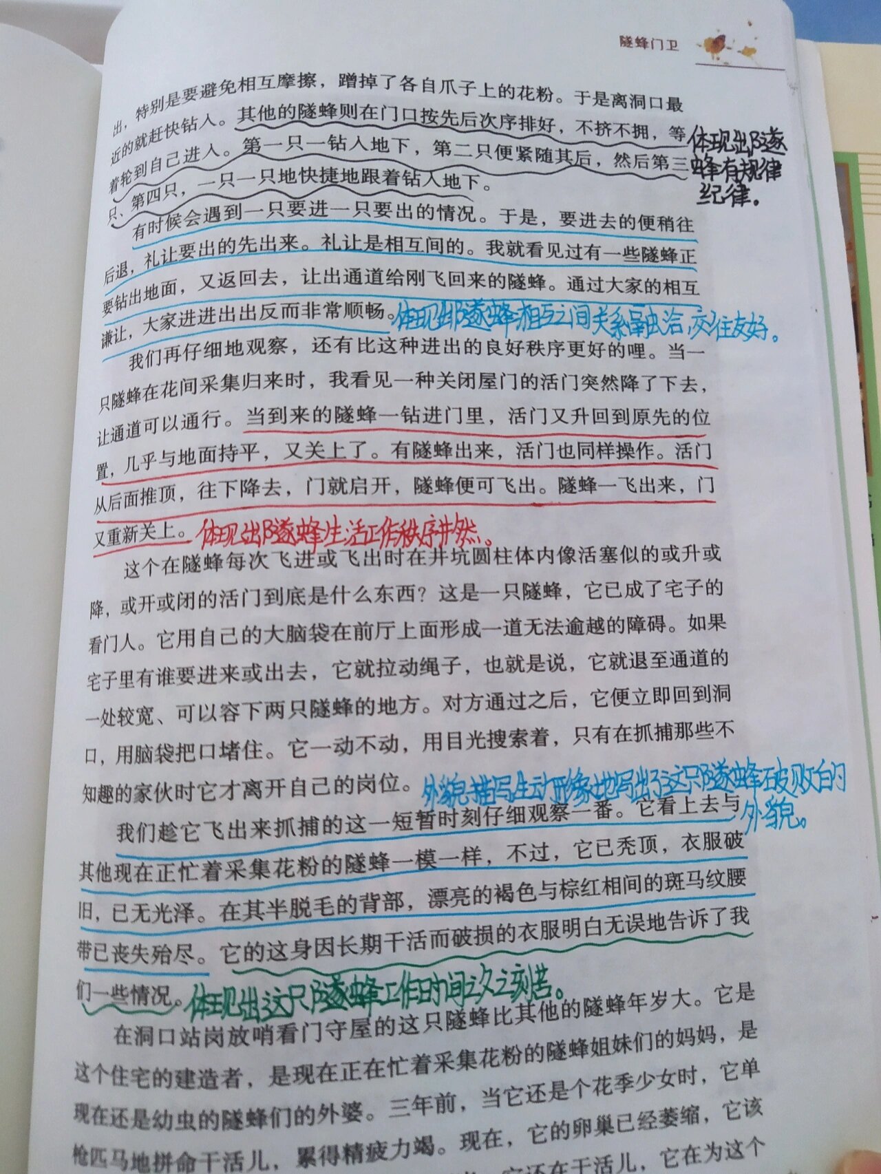 《昆虫记读书笔记》～隧蜂门卫