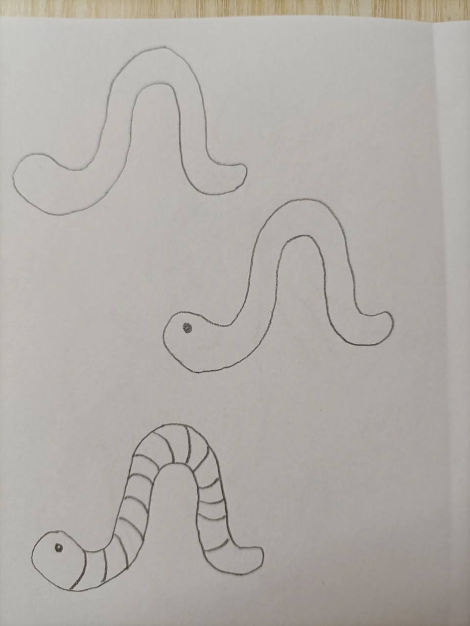简笔画(180)蚯蚓 坚持,加油加油加油^0^~!