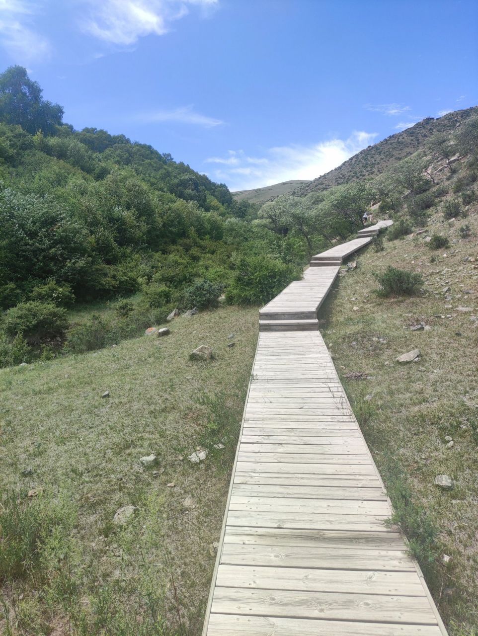 距固阳县城56公里处,海拔2340米,是包头市至高点