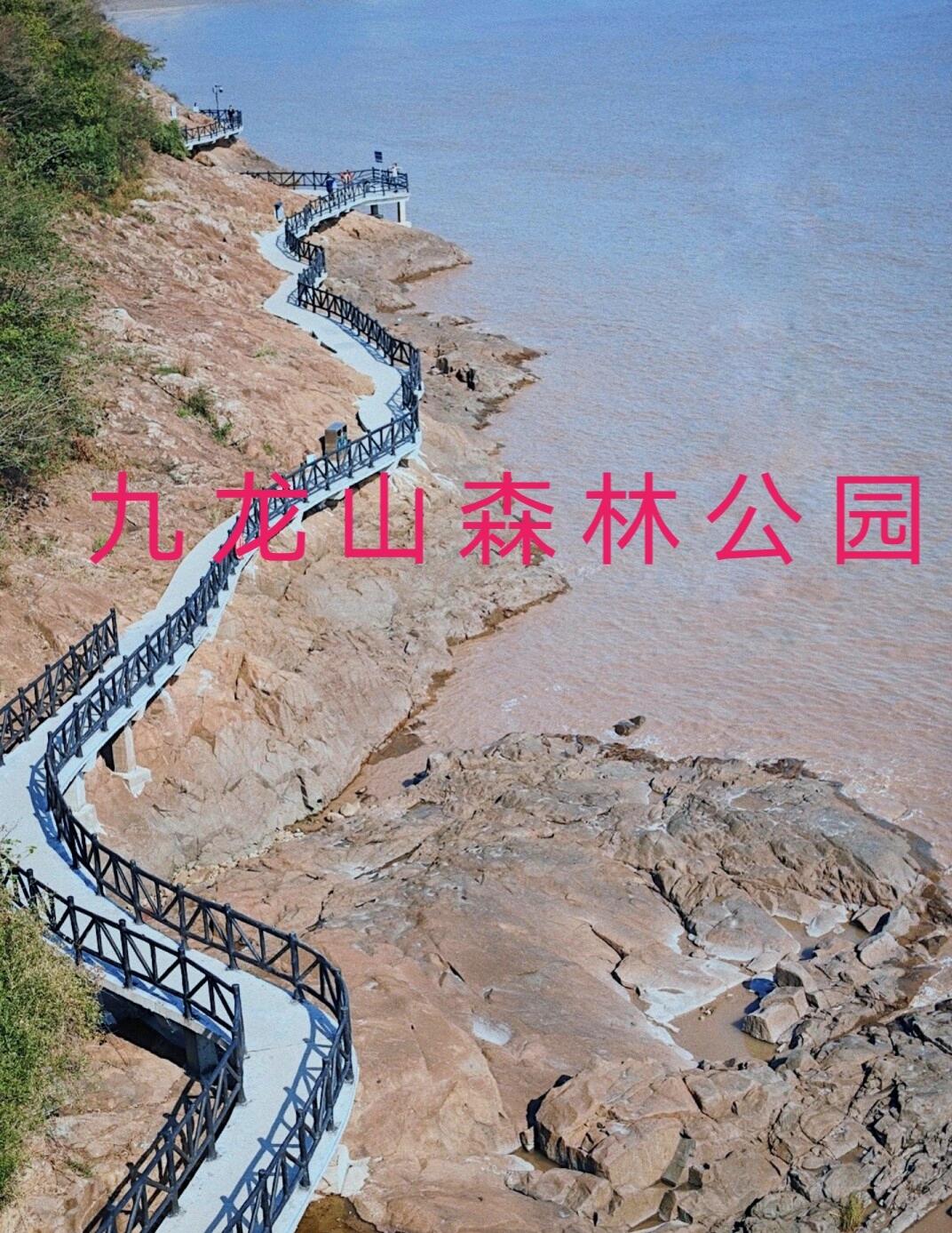 嘉兴平湖九龙山图片