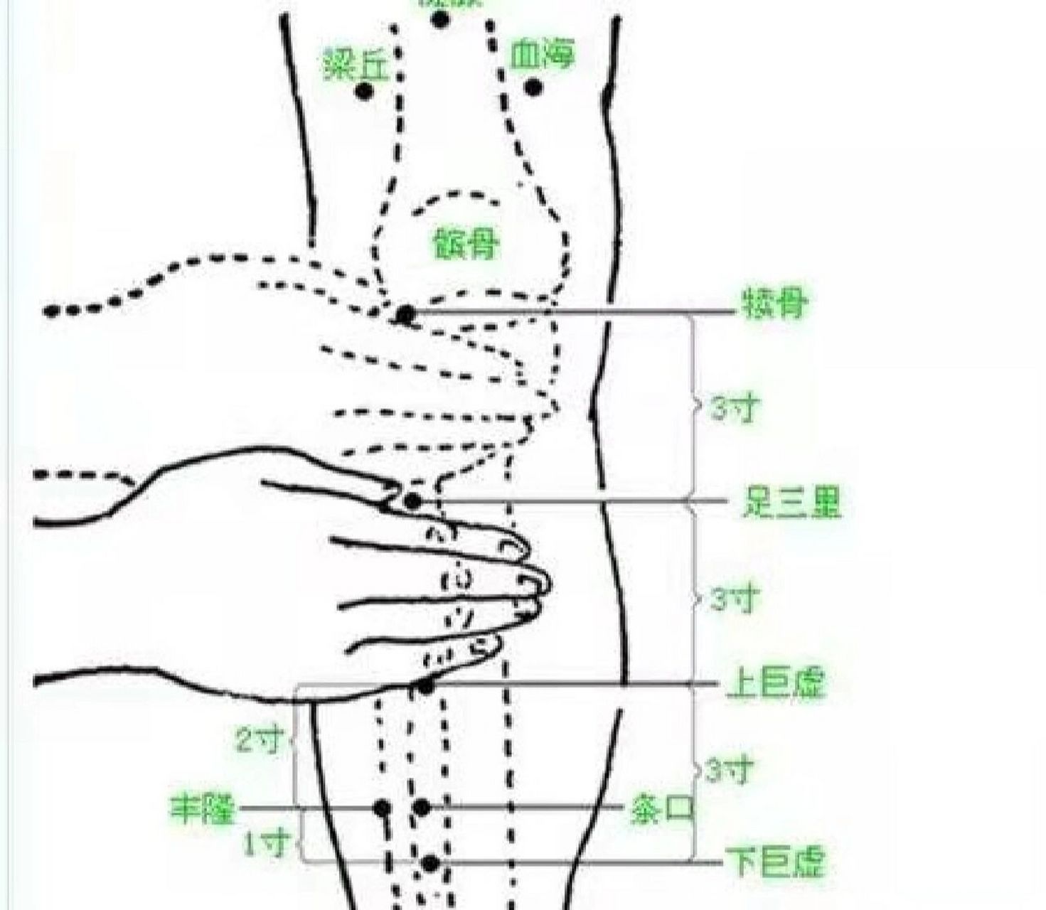 按摩脑垂体后长高了图片