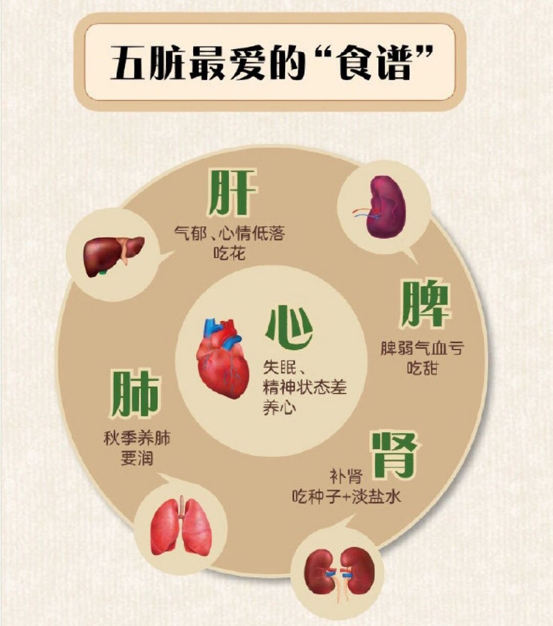 五脏养生食谱 五脏养生食谱#中医养生# #健康科普# 健康 #健康养生