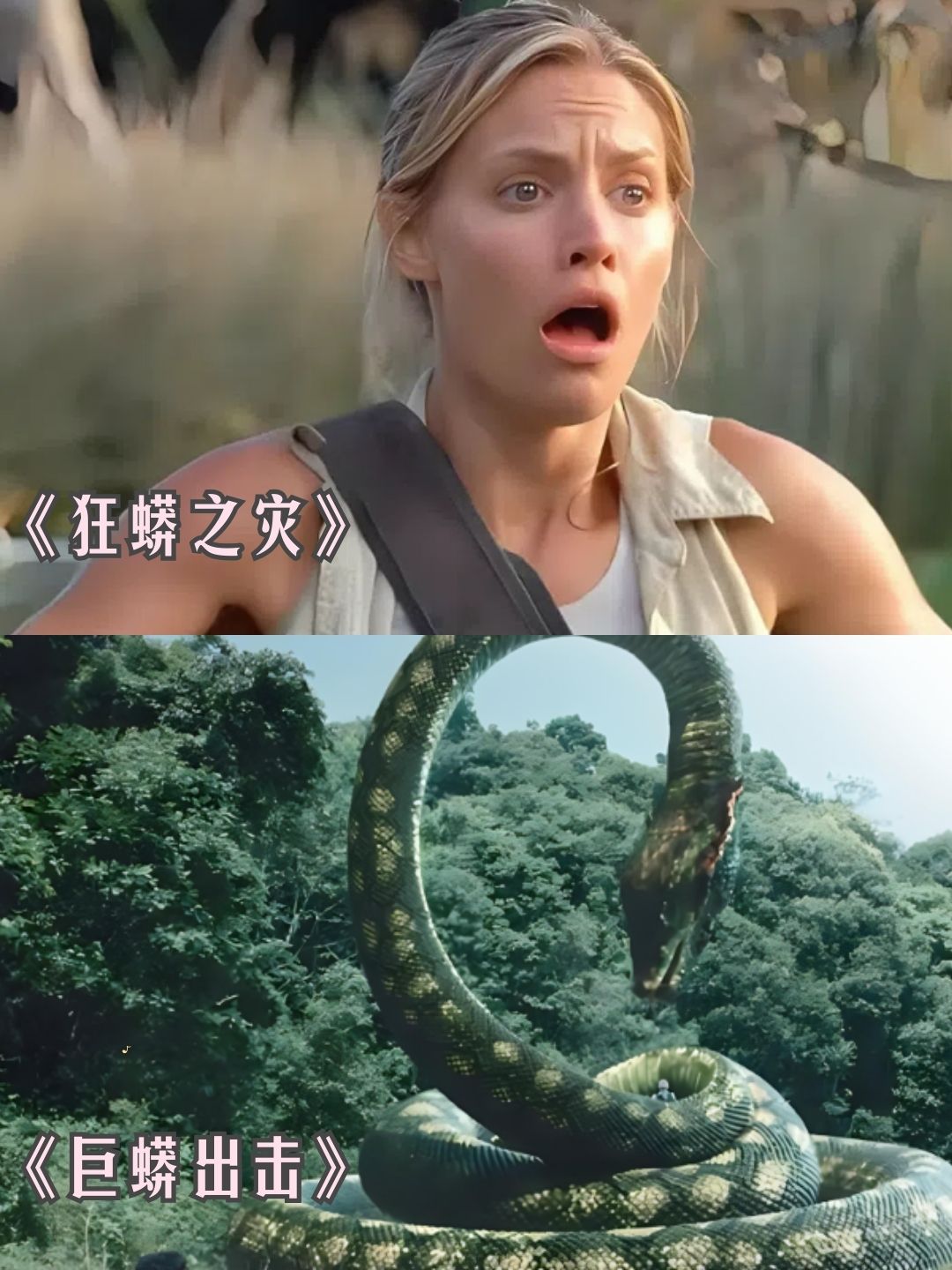 准备好你的小心脏,我们一起来探索这些让人血脉喷张的电影吧!  1.