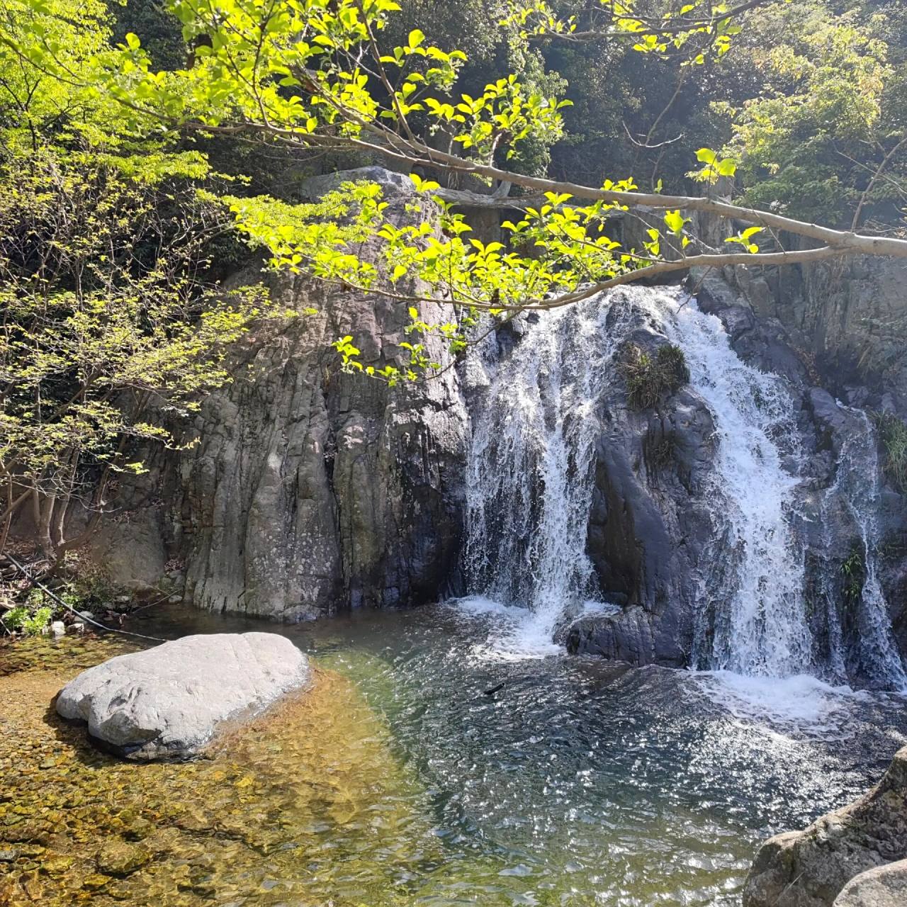 休闲好去处91:4a级景区龙津溪地 坐标:六安市金寨县全军向梁山村,离