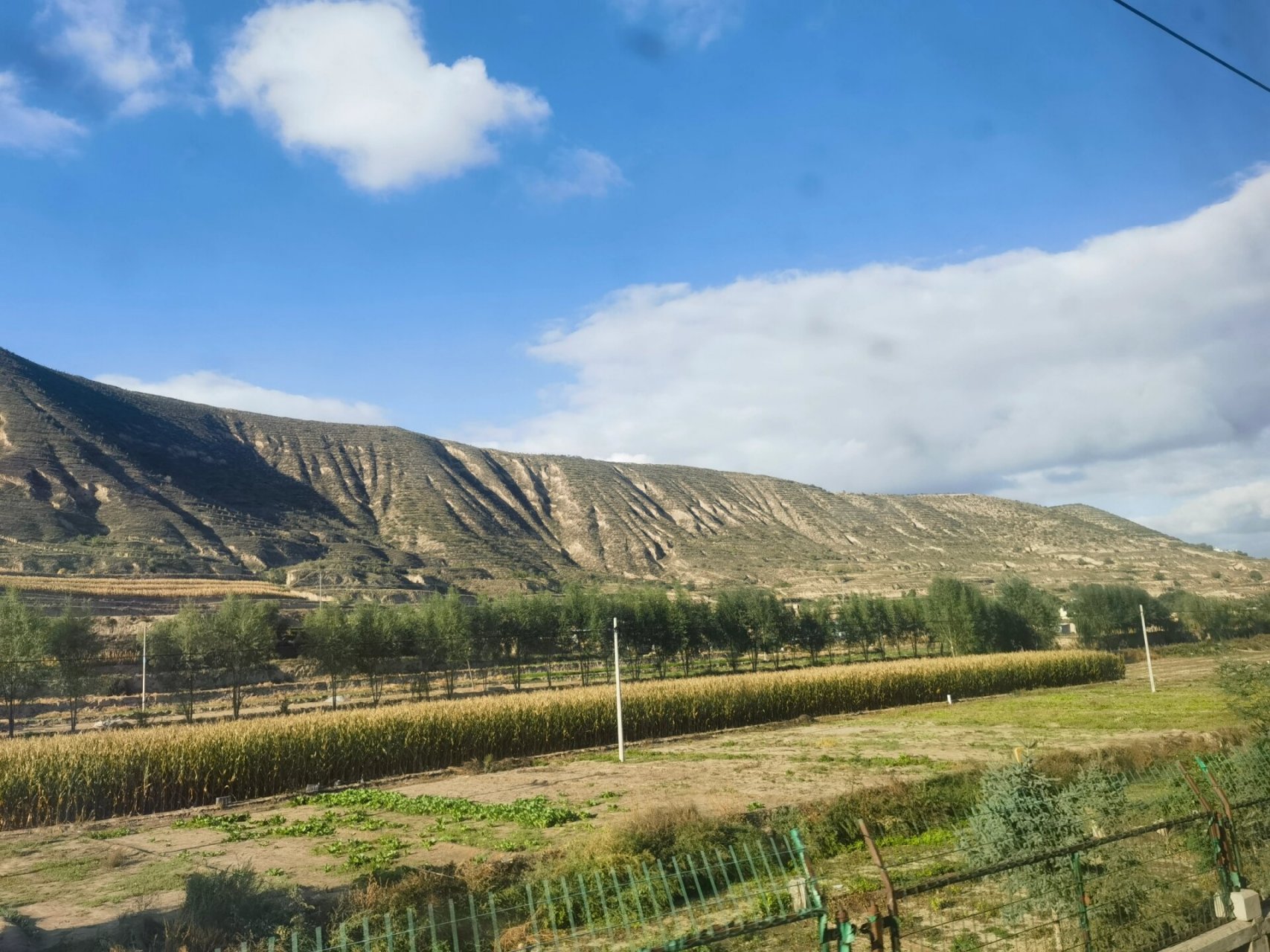 z216软卧,上海直达兰州～ 一直在上没搜到216的软卧照片,这下自己体验