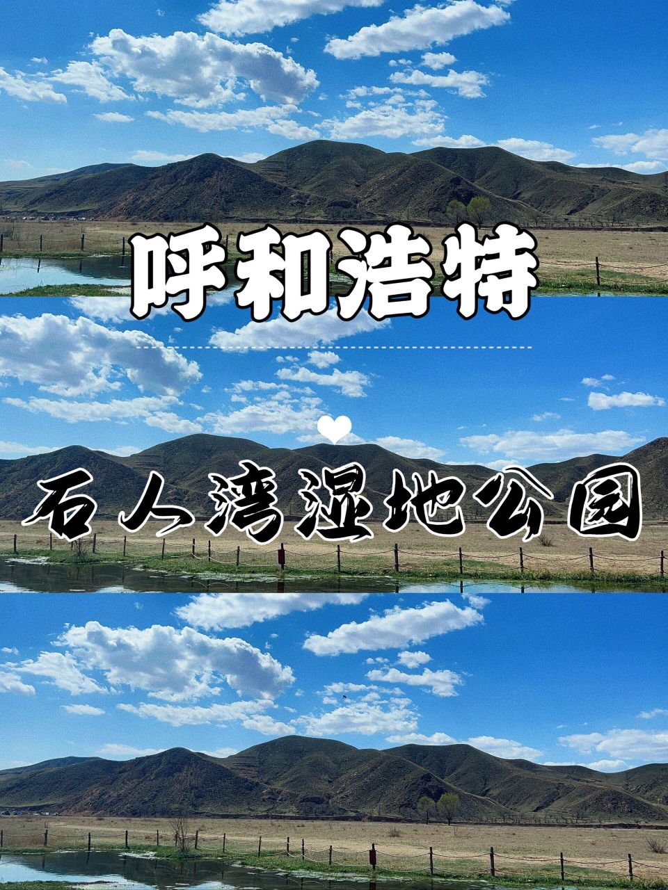 呼和浩特|石人湾湿地公园春游 东二环往东二十多公里露营遛娃好去处