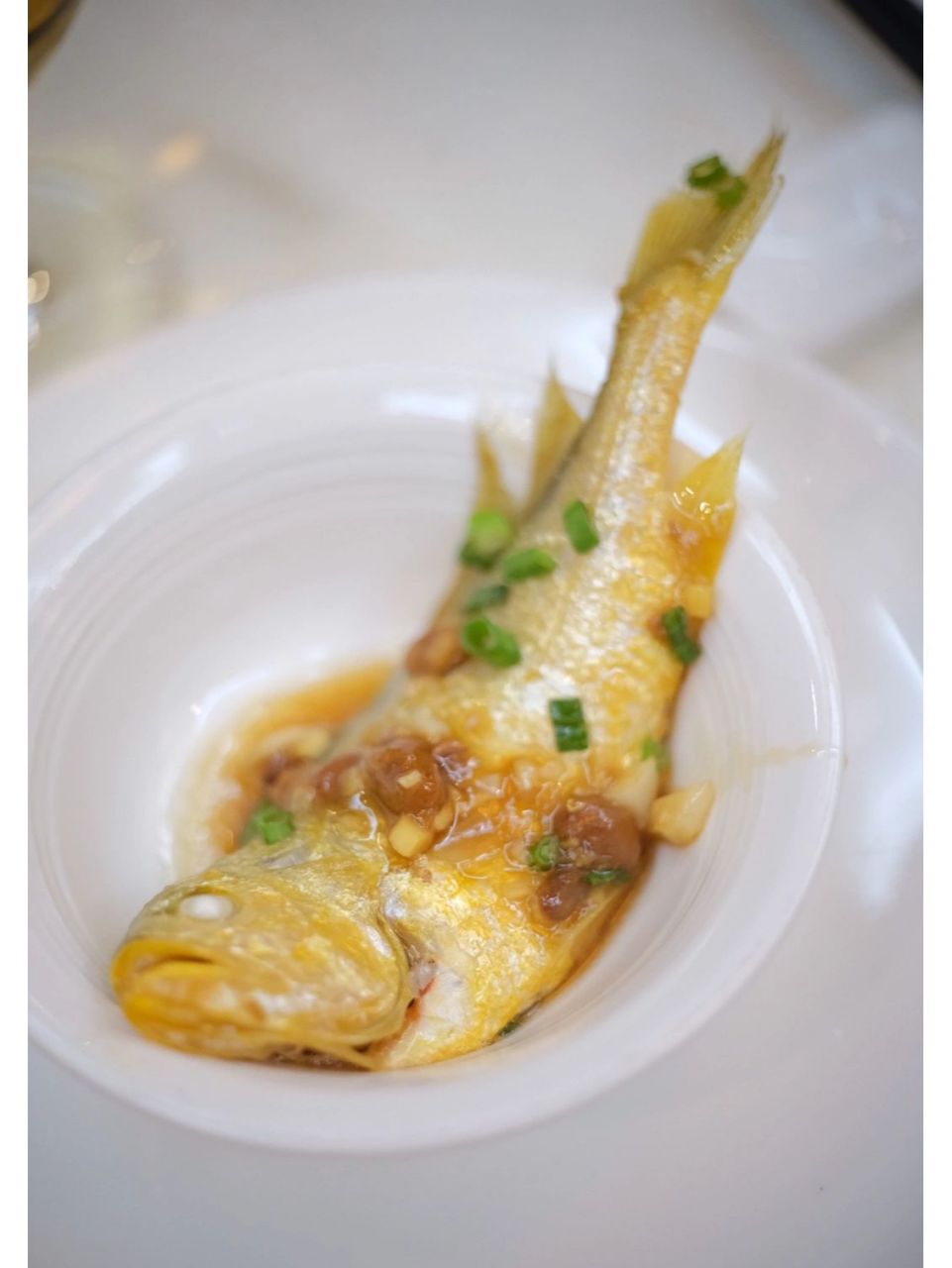 黄皮头,又有人称为"黄眉头",还有个名字叫狮子鱼,一是说它头圆如同