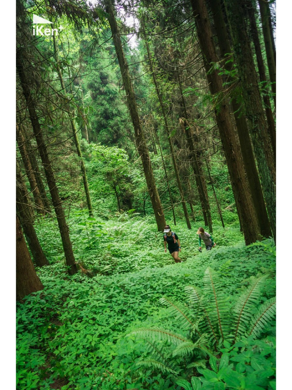 超凉爽徒步路线 崇州琉璃坝地处崇州,大邑,汶川交界处的鸡冠山鞍子河