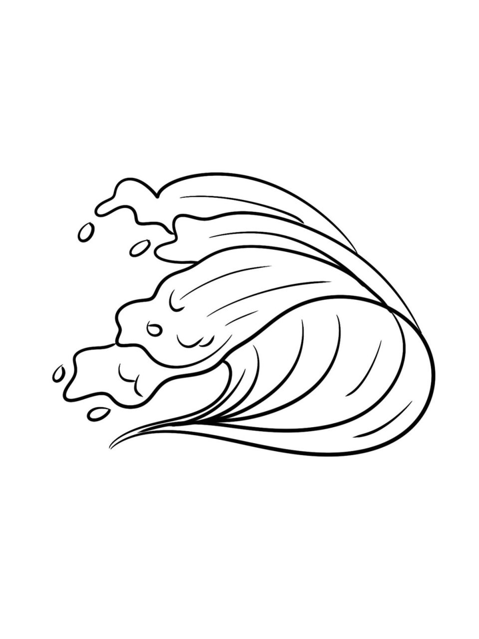 procreate控笔练习——海浪的不同形态 工具:ipad  pro2021 软件:pro