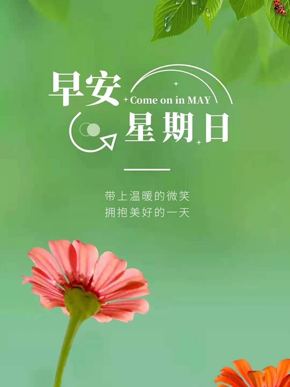 周日早安,早安心语发朋友圈海报图片 781560686069.