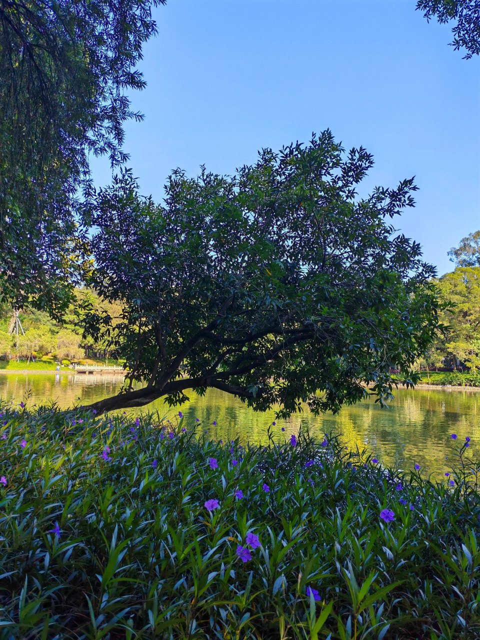 天河公园相亲角 天河公园相亲角,我算是见识到了
