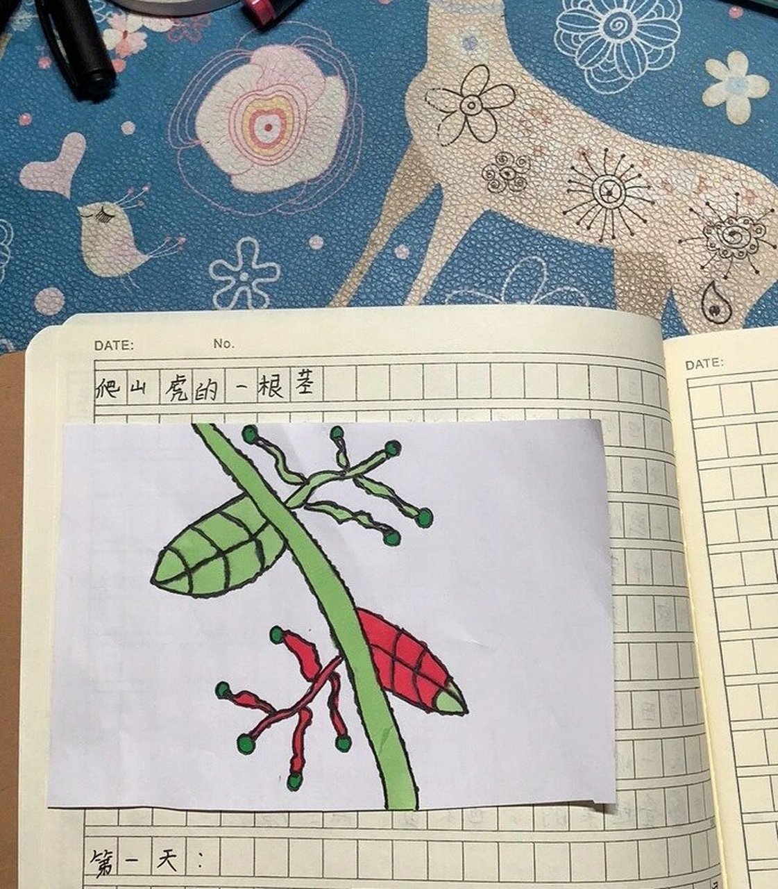 画一画爬山虎的脚