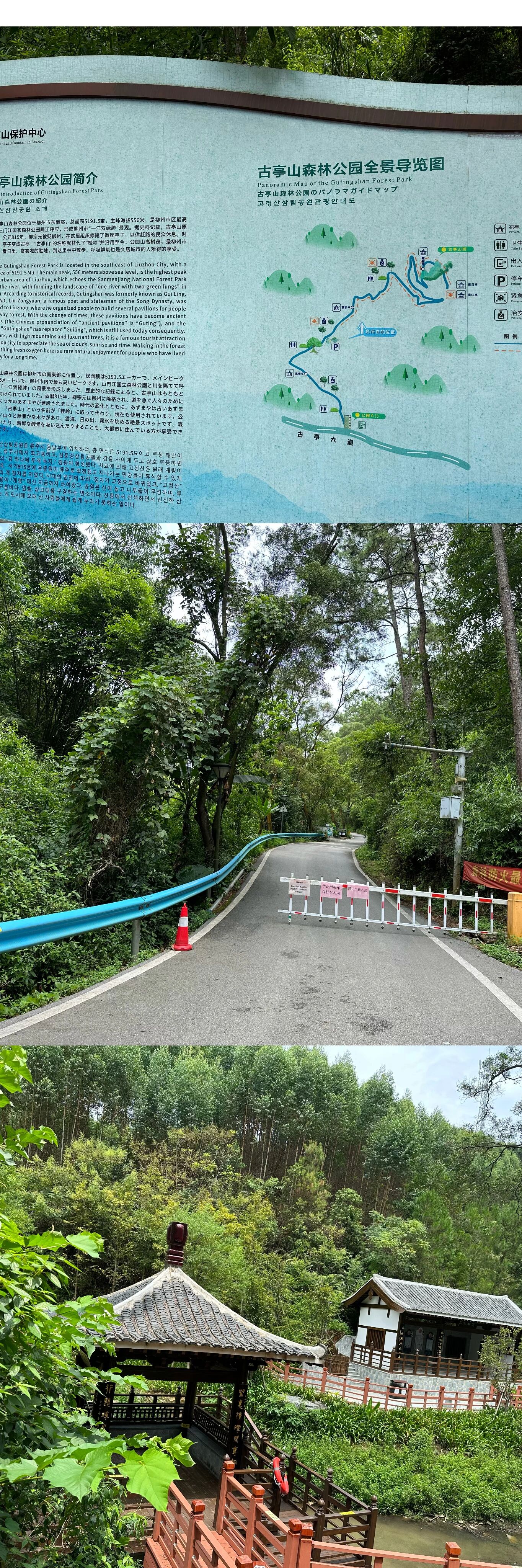柳州爬山好去处二之古亭山森林公园