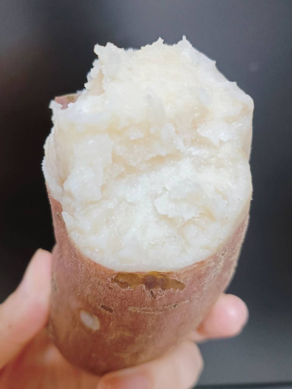 哈蜜冰糖蜜薯真是甜爆了! 软糯香甜又丝滑,如奶油般香甜好吃!