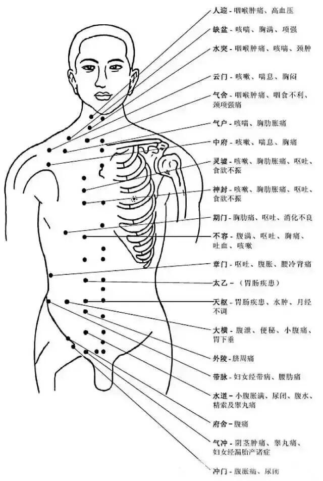 胸部腹部穴位图及作用功效 天突穴 咳喘