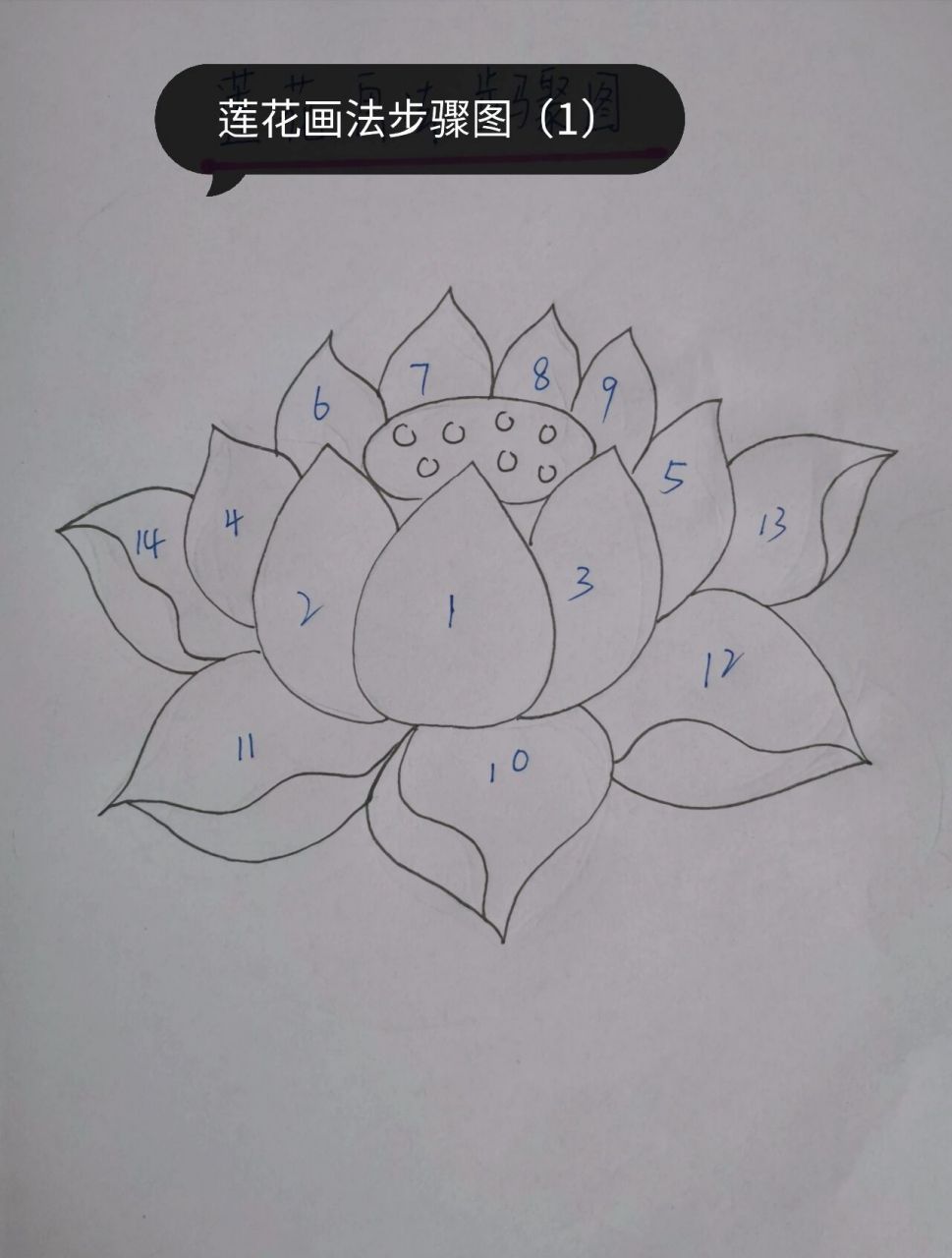 莲花画法步骤图,零基础一看就会