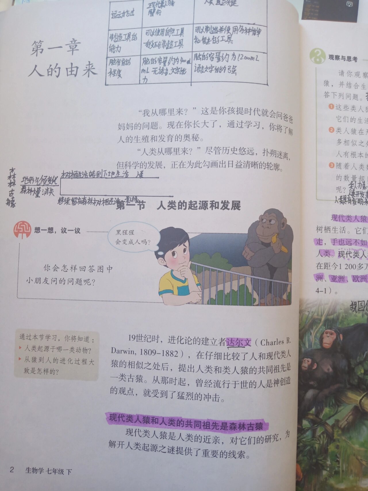 七年级下册生物书第一章人的由来的笔记